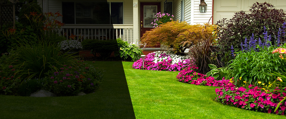 Williamsburg Landscapers